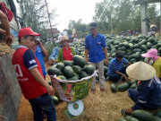 Thị trường - Tiêu dùng - Vị đắng nông sản 2018: Một năm &quot;giải cứu&quot;