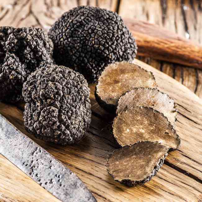 Truffle - loại nấm đắt nhất thế giới, thần dược phòng the, "kim cương đen" của nền ẩm thực: 140 triệu/kg.