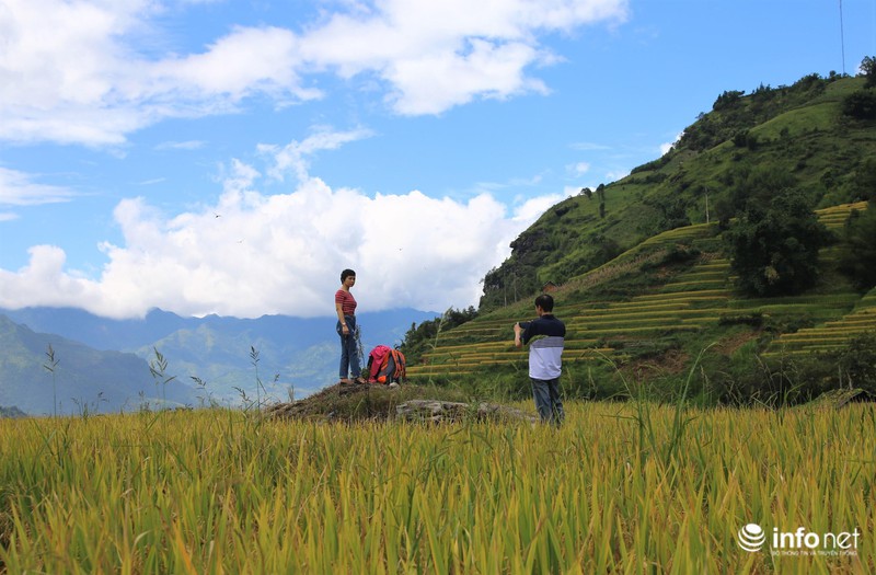 Thả hồn ở Y Tý trong mùa lúa chín - 9