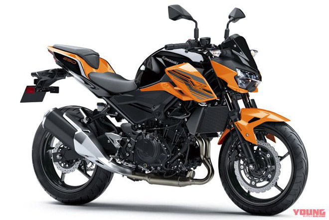 2020 Kawasaki Z400 và Z250 tông màu mới, gam màu sáng ấn tượng - 5