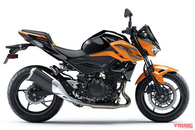 2020 Kawasaki Z400 và Z250 tông màu mới, gam màu sáng ấn tượng - 4