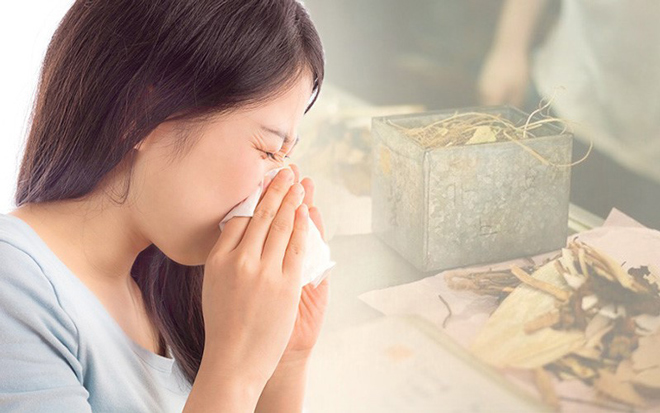 Bệnh viêm xoang mũi là gì? Nhận biết triệu chứng và cách chữa hiệu quả - 1