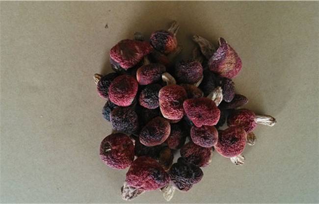 Nấm đỏ dễ héo, hỏng nên chỉ được bán dưới dạng nấm khô.