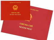 Giáo dục - du học - Thêm 6 trường ĐH dừng cấp chứng chỉ ngoại ngữ, tin học