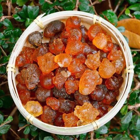 Hạt nhựa đào có giá 1,5 triệu đồng/kg&nbsp;