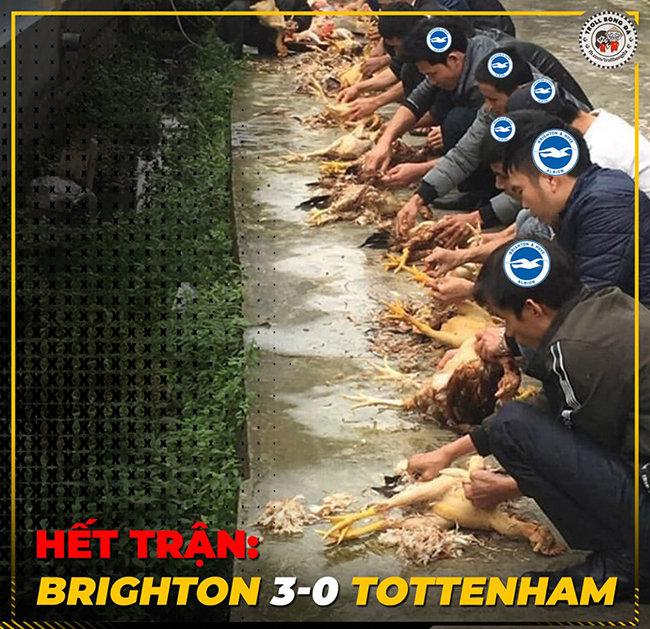Tình cảnh sau trận đấu giữa Brighton và Tottenham.