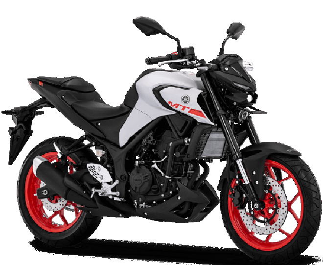 Yamaha MT-25 về Đông Nam Á