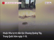 Phi thường - kỳ quặc - Sốc: Chuột rượt mèo