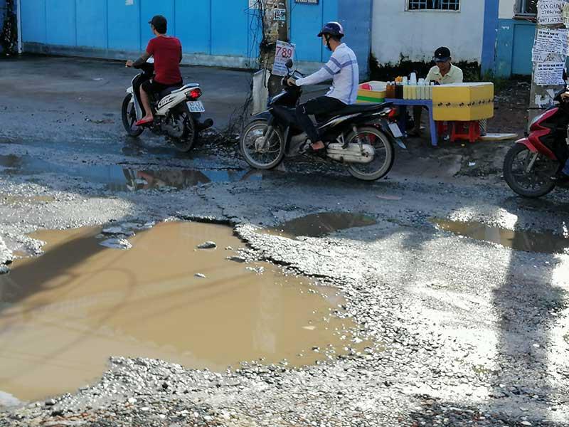 Cận cảnh một ổ voi trên đường Tân Thới Nhất 8. Ảnh: THU TRINH