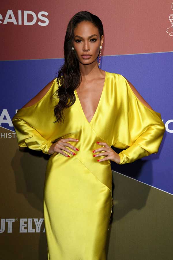 Joan Smalls Rodriguez là một siêu mẫu và nữ diễn viên người Puerto Rico. Vào năm 2013 và 2018, cô đứng ở vị trí thứ 8 trong danh sách "Người mẫu được trả lương cao nhất thế giới" của tạp chí Forbes. Năm 2011, cô trở thành người mẫu Latina đầu tiên đại diện cho mỹ phẩm Estée Lauder.