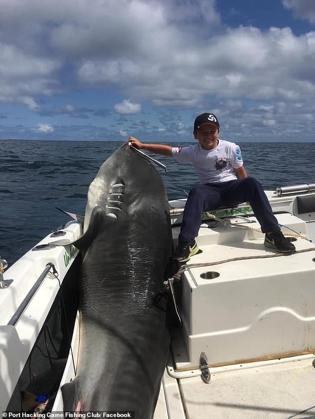 Jayden Millauro và con cá mập hổ 314 kg
