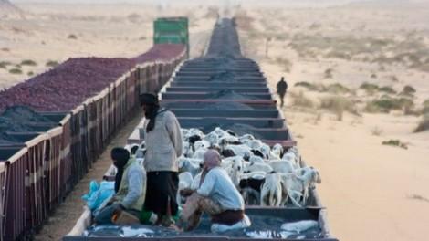 Nhiều người Mauritania chọn lên các toa tàu chở hàng để được đi miễn phí.