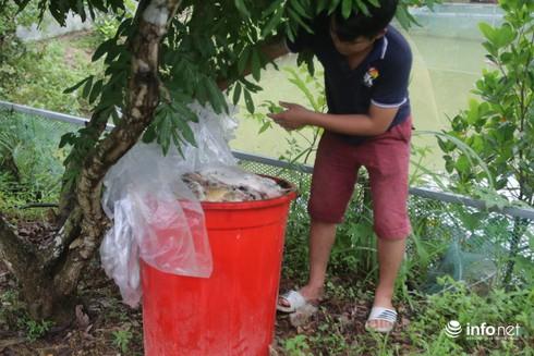 Cũng theo người dân tại đây, từ ngày 9/10, Công ty CP Đầu tư nước sạch Sông Đà (Viwasupco) - đơn vị chủ quản của Nhà máy nước sông Đà đã thuê khoảng 30 người dân địa phương đi vớt dầu loang trên bề mặt nước các khu vực xuất hiện dầu thải. “Dầu này rất lạ, có mùi khét và không thể giặt sạch khi bám vào quần áo. Mỗi lần đi vớt dầu về là chúng tôi phải vứt bỏ quần áo đi”, một người dân nói.