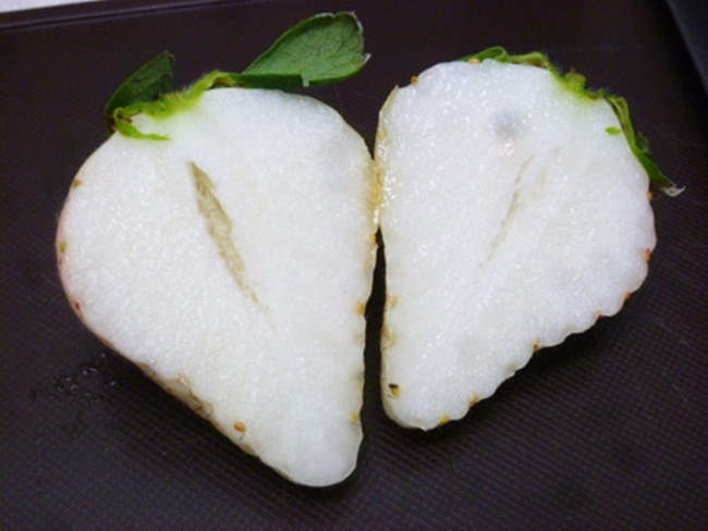 Ông Teshima thừa nhận, loại dâu trắng của ông phải cạnh tranh với các loại dâu tây trắng khác được trồng ở Nhật.