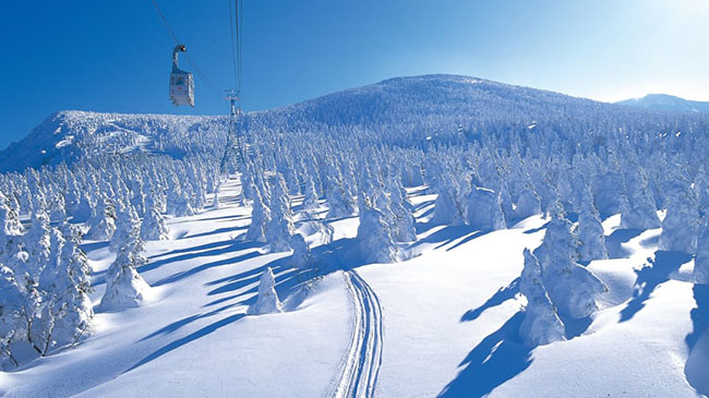 Khu nghỉ dưỡng trượt tuyết Zao (Yamagata): Zao Onsen là một trong những khu nghỉ mát trượt tuyết nổi tiếng nhất ở Nhật Bản với những cây thông bị phủ kín tuyết mang những hình ảnh kỳ dị.

