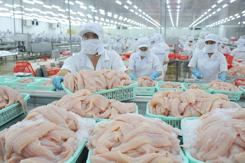 Trung Quốc tiêu thụ mạnh cá tra Việt Nam.&nbsp;