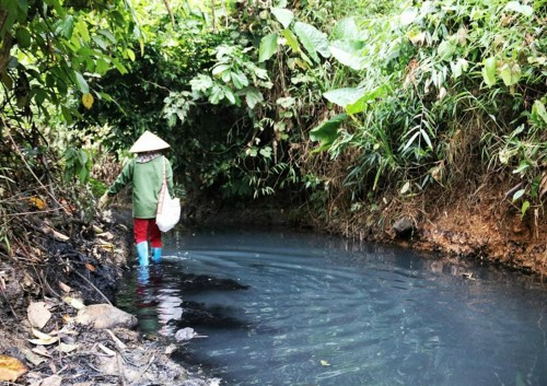 Nguồn nước sông Đà bị "đầu độc" bằng dầu thải.