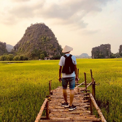 Lúa trải vàng ở &#34;thánh địa sống ảo Ninh Bình&#34; - 2