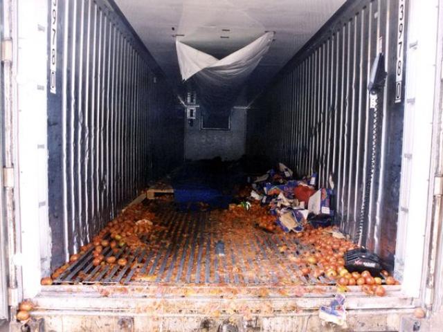 58 thi thể chồng chất trong container và hành trình kinh hoàng đến Anh ”đổi đời”