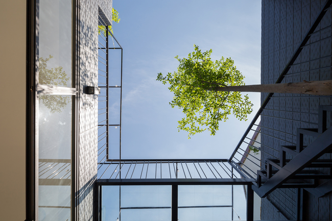 Không gian này kết hợp với cầu thang ở giữa nhà để kết nối các không gian khác trong nhà. Mọi người có thể cảm nhận được cây cối, ánh sáng tự nhiên, gió và mưa ở đó.