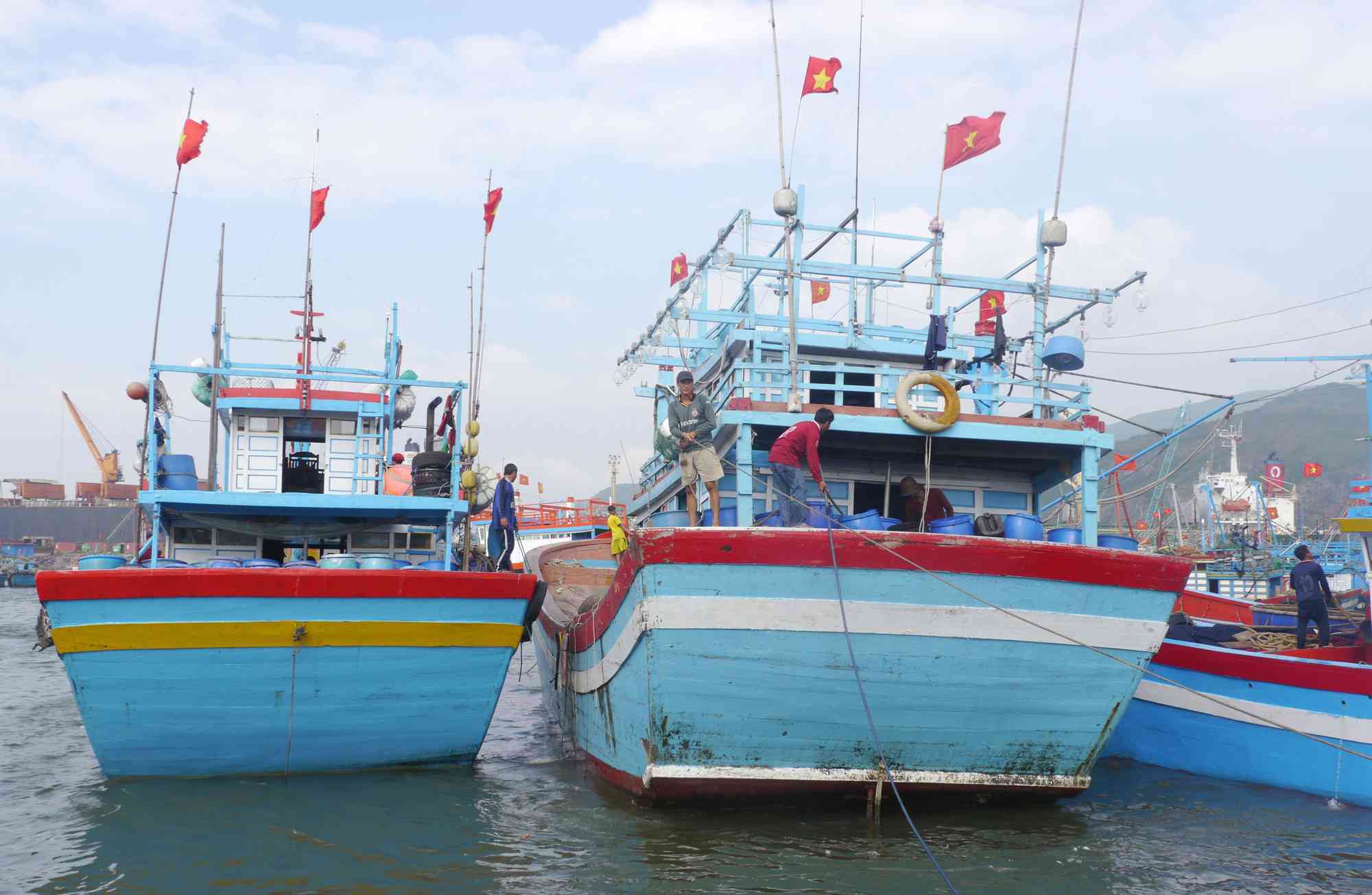 Ngư dân tỉnh Bình Định tuân thủ tốt các quy định về đánh bắt Ảnh: ĐỨC ANH