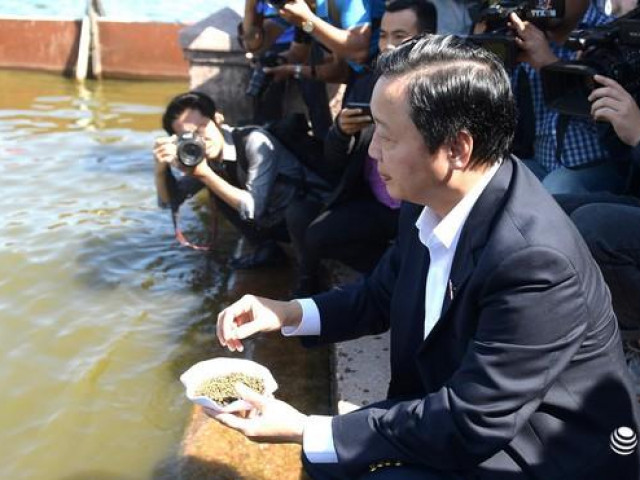 Bộ trưởng Bộ Tài Nguyên và Môi trường Trần Hồng Hà thị sát, cho cá Koi ăn ở Hồ Tây