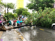 Tin tức trong ngày - &quot;Văn bản khẩn&quot; cho HS Đà Nẵng nghỉ học do mưa bão là giả