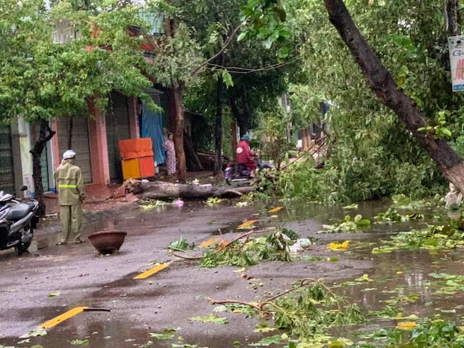 Cây cối gãy đổ la liệt trên đường phố Quy Nhơn. Ngay sau khi bão tan, các nhân viên của công ty cây xanh đô thị và điện lực đã xuống hiện trường dọn dẹp, sửa chữa hệ thống dây điện.