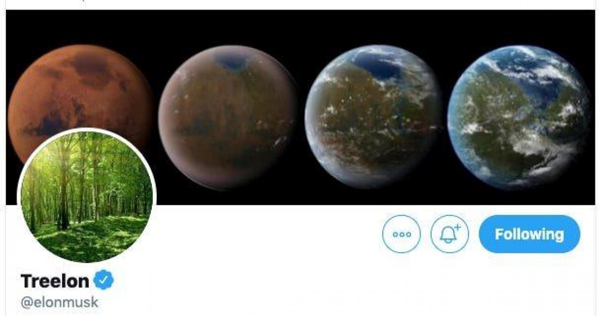 Twitter của Elon Musk. (Ảnh chụp màn hình)