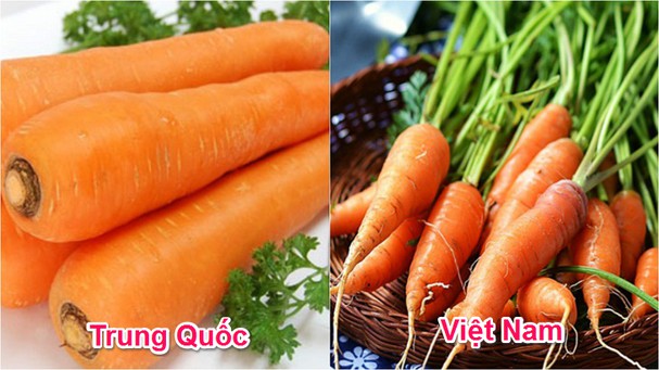 Phân biệt cà rốt Việt Nam và cà rốt Trung Quốc