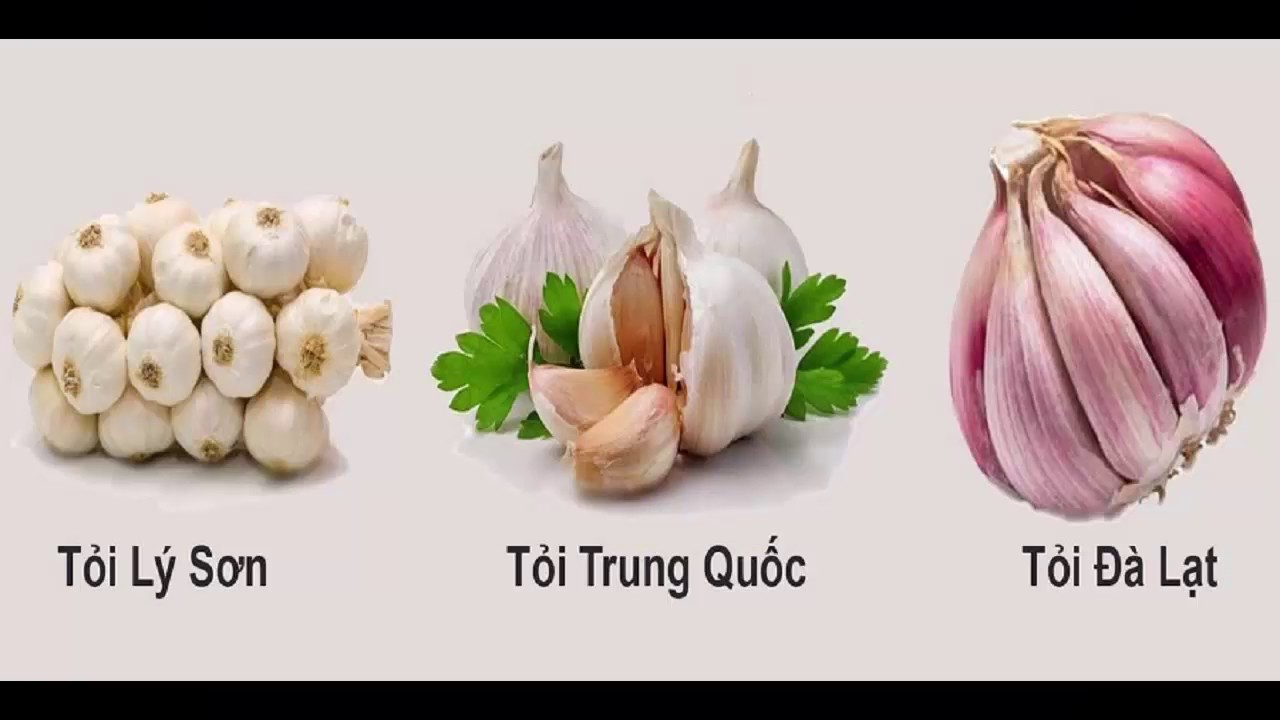 Phân biệt tỏi Việt Nam và tỏi Trung Quốc