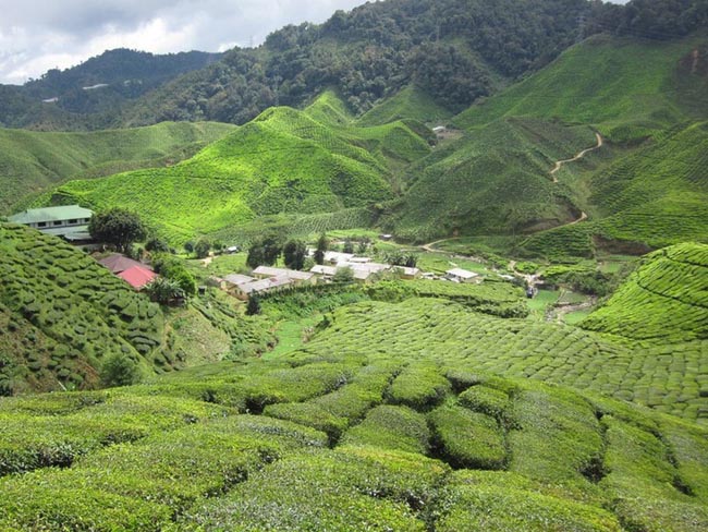 Báo Tây chọn Việt Nam vào top những đất nước du lịch vừa đẹp vừa rẻ nhất châu Á - 8