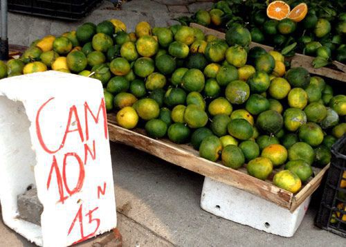 Chanh tăng giá sốc sau khi chặt cây làm... củi - 2