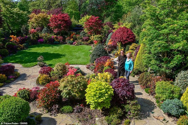 Cặp vợ chồng, Marie và Tony Newton, cả hai đều 71 tuổi đến từ nước Anh, đã dành 22 năm để biến bãi cỏ phía sau của họ thành một thiên đường ngoạn mục, được gọi là khu vườn "Bốn mùa".