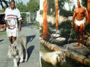 Thể thao - Mike Tyson nuôi hổ dữ 250 kg: Tiết lộ lý do “động trời” phải đem bán