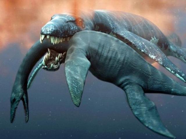 Loài thủy quái thời tiền sử dài 9 mét, lực cắn mạnh gấp 4,5 lần khủng long bạo chúa