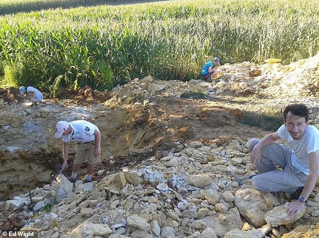 Địa điểm khai quật hóa thạch của loài được cho là thủy quái&nbsp;pliosaurs ở gần làng&nbsp;Krzyzanowice, Ba Lan (Ảnh: Ed Wight)