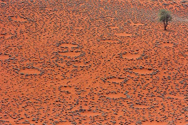 Vòng tròn cổ tích, Namibia: Là những mảng tròn, rải rác trên sa mạc Namibia. Đây cũng là một địa điểm mà các nhà khoa học chưa đưa ra được lời giải thích hợp lý nhất.
