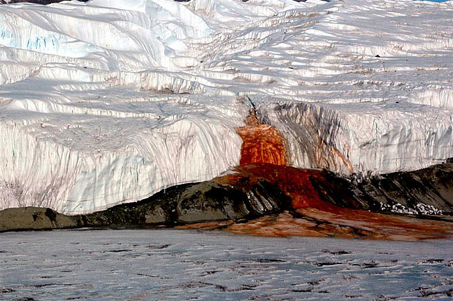 Thác máu, Nam Cực: Điều bí ẩn ở lục địa lạnh nhất thế giới này chính là một dòng thác nước đỏ như máu thấm vào băng. Các nhà địa chất ban đầu nghĩ rằng màu đỏ là do tảo nhưng sự thật thực sự không phải như vậy.
