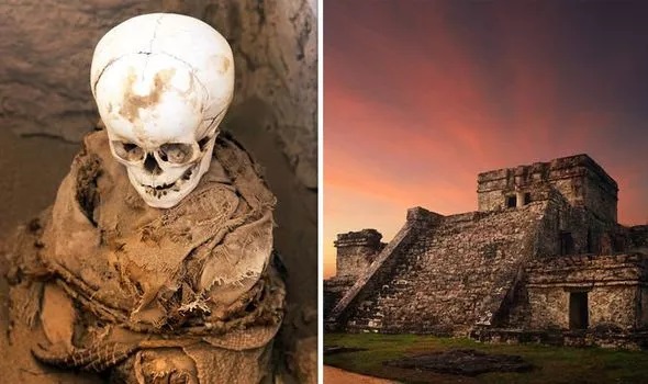 Các nhà khoa học khai quật được một số hộp sọ từ thời đế chế Inca