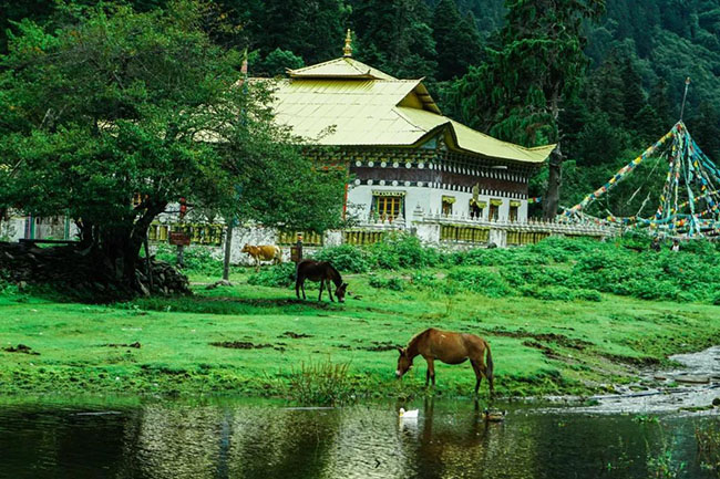 15.Làng Yubeng chỉ nên đến vào mùa mưa. Trời mưa, ngôi làng như biến thành một thiên đường huyền diệu tuyệt đẹp. Trong suốt cuộc hành trình khám phá, chỉ có lác đác vài người, nên du khách sẽ cảm nhận được sự thanh bình tuyệt vời ở nơi đây.
