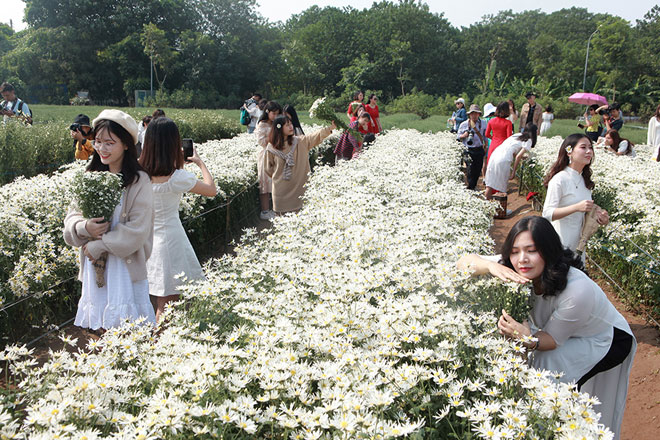 Các cô gái thi nhau tạo dáng nhanh để cho người khác vào chụp. Có những người ở miền Trung, miền Nam ra Hà Nội chơi cũng tranh thủ đến vườn họa mi chụp, lưu lại khoảnh khắc thanh xuân