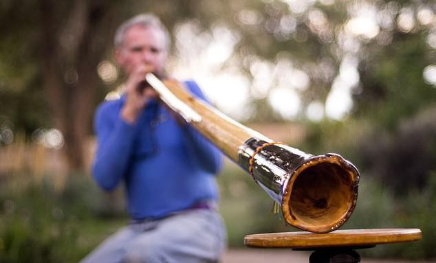 Kèn Didgeridoo của người Úc đã giúp nhiều bệnh nhân cải thiện về hô hấp - ảnh minh họa từ SHUTTERSTOCK