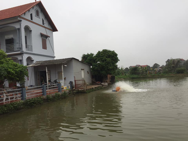 Anh Thuận cho biết nuôi cá đã giúp gia đình anh khấm khá hơn.