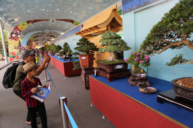 Lễ hội triển lãm bonsai và suiseki châu Á - Thái Bình Dương lần thứ 15 năm 2019&nbsp;được khai mạc tại KDL văn hóa Suối Tiên (Q.9, TP.HCM) vào sáng 15-11, với sự tham gia của đại diện 50 quốc gia và vùng lãnh thổ.