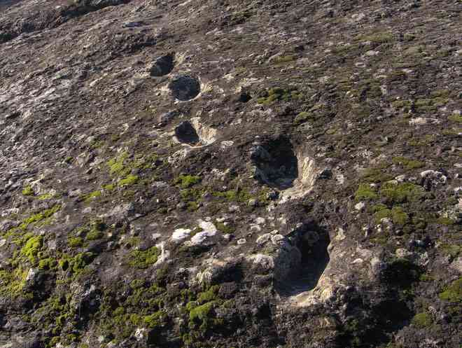 Dấu chân hóa thạch ở núi lửa Roccamonfina là của ai? - 1