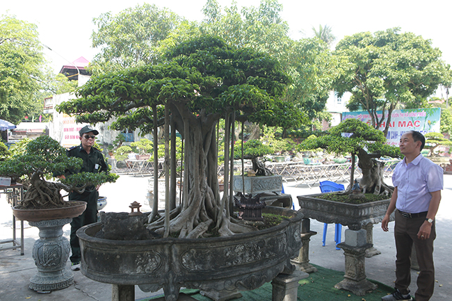 Anh Nguyễn Văn Hưng (Đông Triều, Quảng Ninh), chủ nhân của tác phẩm cho biết, tác phẩm được làm mô phỏng theo những cây đa cổ thụ ở cổng làng, bên dưới đặt một ngôi chùa nhỏ được đúc bằng đồng nên có tên là “Đình cổ đa xưa”.
