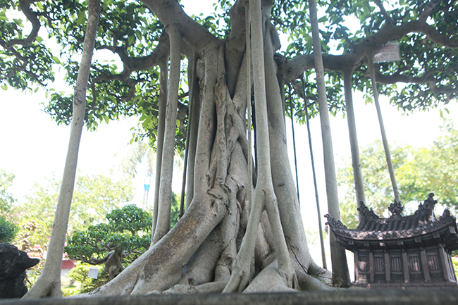 Điểm nhấn của tác phẩm là ngôi chùa nhỏ đúc bằng đồng đặt bên dưới bệ rễ