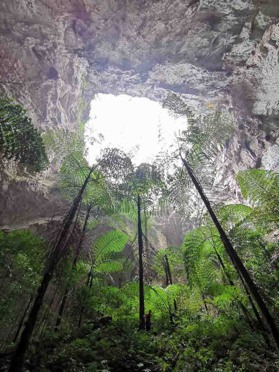 Trung Quốc phát hiện ra hang động nguyên thủy bí ẩn - 3