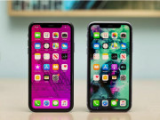 Công nghệ thông tin - iOS 14 trên iPhone 12 đang được phát triển, iFan mong chờ